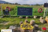 Școala Gimnazială ”Regina Maria” – Mănăstirea Cașin